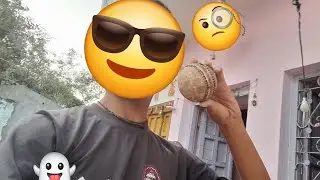 Leather Ball se cricket (without protection)