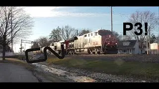 CN 3166, CN 3812, and CityRail 2182
