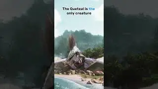 3 THINGS about the Quetzals in ARK : Survival Ascended !