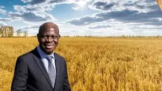 IFAD chief on global food security amid Ukraine conflict