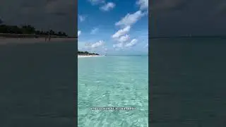 Стань другом мне.#ai#life#Ии#beach#life#приколы#Summer #cartoon