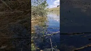 #pescuit #romania #fishing #relaxing