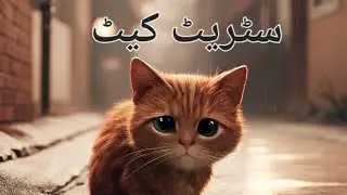 Street Cat (بلی کی آپ بیتی)