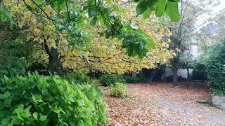 la natura, regina del giardino