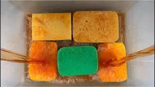 LUNDMARK PINE FRESH 🌲 ASMR SPONGE SQUEEZE 🧽