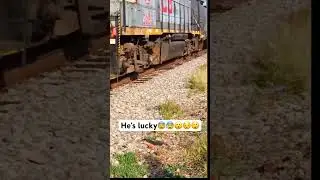 Dog dodges being ran over by train🐕🚂😱 #shorts #dog #dogs #doglover #doglovers