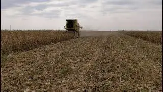 Žetva Kukuruza 2021 | New Holland 1540s & Olimac 4r