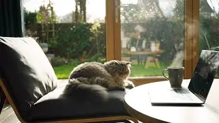 High-Fidelity Lofi music 📻 - vibes to relax 🧘/ study ✍️