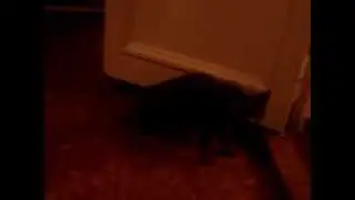 MOV05514