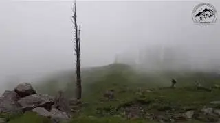 Nagaan Reserved Forests Kaghan