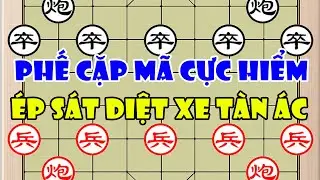 Hồng Trí (洪智) vs Hoa Thần Hạo (华 申浩)| Phế Cả Cặp Mã Vào Mặt Tướng Ép Sát Diệt Xe Cực Đỉnh