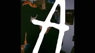 A - Bleiki Codack (prod.vol)