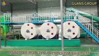 Animal Fat Oil Rendering Equipment： Processing 80TPD of Animal Fat into Profit #oilprocessing