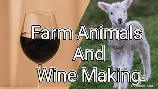 Farm Animals for FERTILITY and FIRE management for wine making and Homesteading
