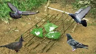 Primitive Technology Kh: Awesome Quick Best Bird Trap homemade - Easy Best Bird Traps Work 100%