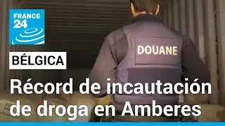 Bélgica: Amberes registra récord de incautación de cocaína con un total de 116 toneladas