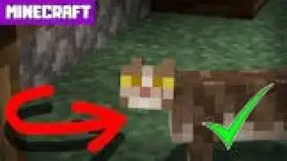 How to spawn cats in Minecraft