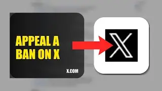 How To Appeal A Ban On X 2025 (2026)