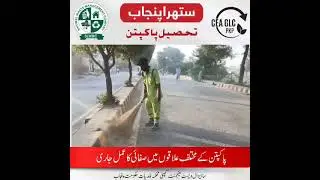 Suthra Punjab | Dedicated Workers Keeping Pakpattan Clean & Green  #cleanpunjab #greenpunjab #news
