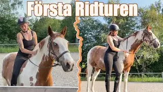 Rider Tintin för FÖRSTA gången || Millan trillar av!! || Stallvlogg
