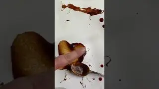It&rsquo;s like a crime scene 😂 video is live w/ behind the scenes Tips and tricks on photographing sauce