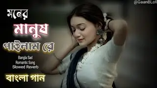 মনের মানুষ পাইলাম রে বহুদিন পরে | Moner Manush Pailam Re Bahut Din Bhar | Bangla Gaan | লফি সং বাংলা