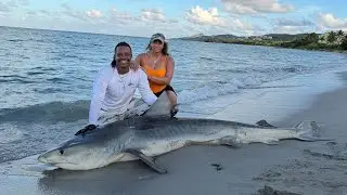 Local fisherman and his wife catch massive tiger shark from beaches of St Croix, USVI