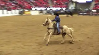 World Series of Team Roping #15 Finale Top 10 - 2017