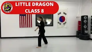 Little Dragon Class -- 8
