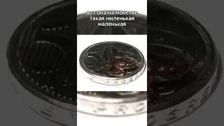 Эти жабки МЕНЬШЕ 1 см