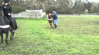 Vaulting On Meg!