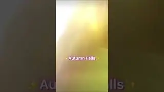 ✨Autumn Falls✨