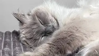 Like butter wouldn&rsquo;t melt!!! Wait till the end!!