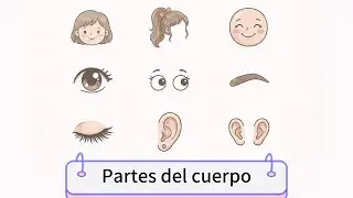 Learn Body Parts Vocabulary in Spanish | 100 First Words for Beginners - Day 2