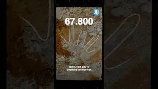 Endonezya'da insanlık tarihine dair bildiklerimizi değiştirecek keşif