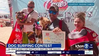 Winners of a 10th annual dog surfing competition