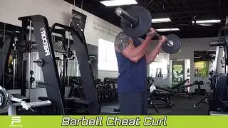 Barbell Cheat Curl