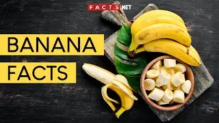 Факты о бананах и их полезные свойства, которые вам нужно знать