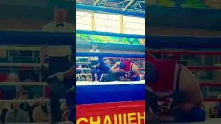 🏆Кубок Альтаир🥊2024 Highlights #shorts #sports #music