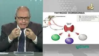 أمراض الغدة الدرقية والكظرية || برنامج صحتي || 13 || د.محمد رفعت معصرجي