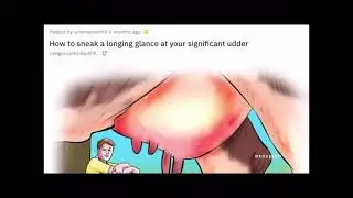 wikihow Memes