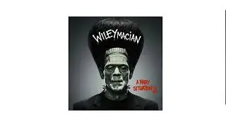 Robots Will Kill You ( CTRL ALT DELETE) - WileyMacIan