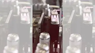 SOUR PEACH CANDY ALE BEER?!?! | DANK MART