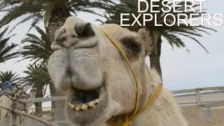 A adventure at Desert Explorers Swakopmund