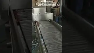 Automatic Chili Pepper Head Cutting Machine