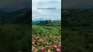 Spring is coming! Avia, Peloponnese, Greece 🇬🇷