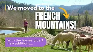 We Moved to the French Mountains! With the horses plus 3 new additions...