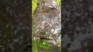 Take breath🩵 #forest #water #waterfalls #waterfall #trees #forestsounds #walking #hiking #cleaning