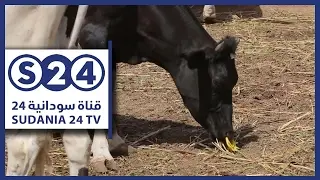 مشروع البان كوكو - صوت الأرض