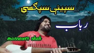 Spena Spogmai Waya Ashna Ba charta Wey Na | by Mussawir Shah  [slowed+reverb] pashto